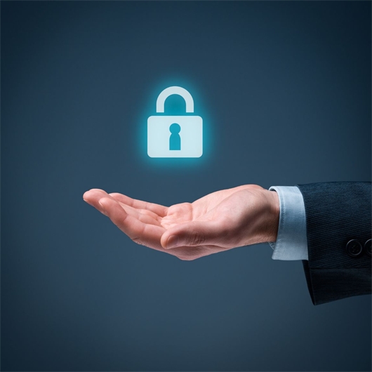 Beveiliger inhuren? | SecuConnect